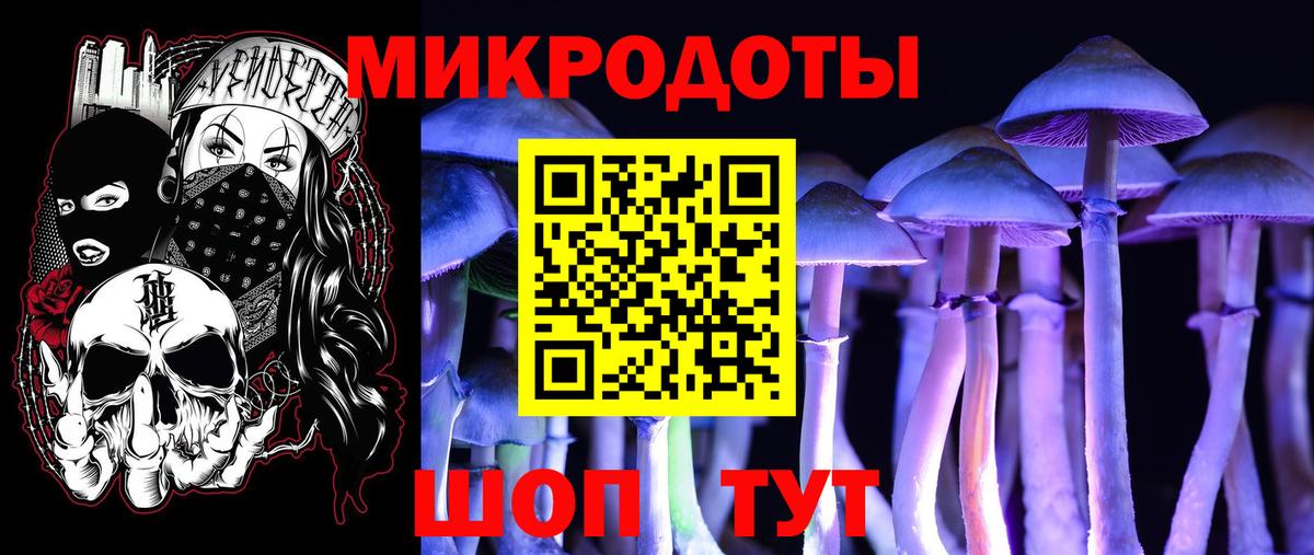 Псилоцибиновые грибы Cubensis Баксан