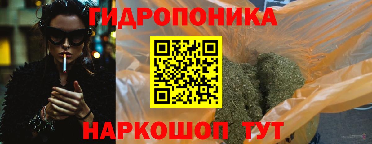 Конопля план Баксан